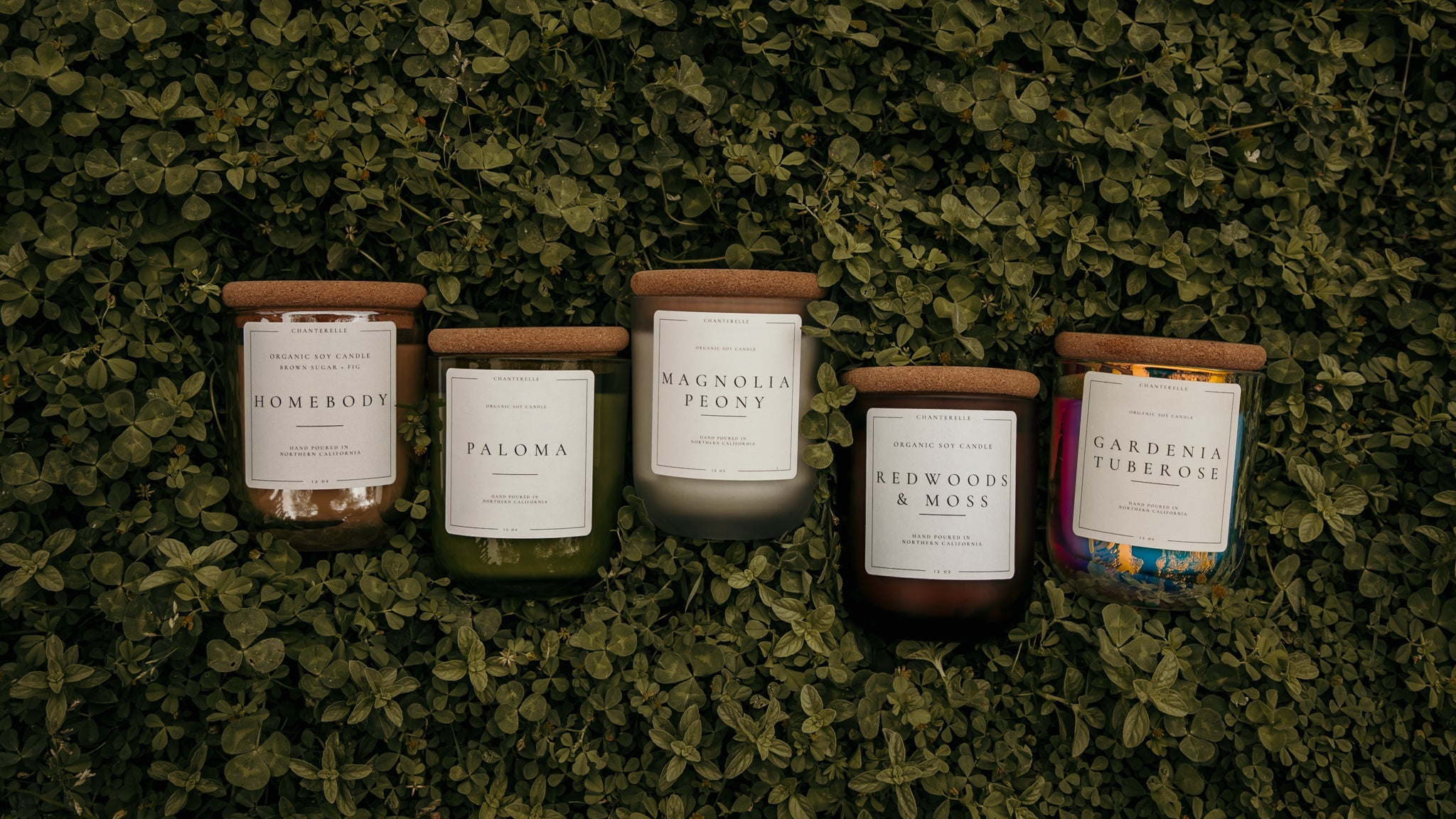 Sonoma Collection
