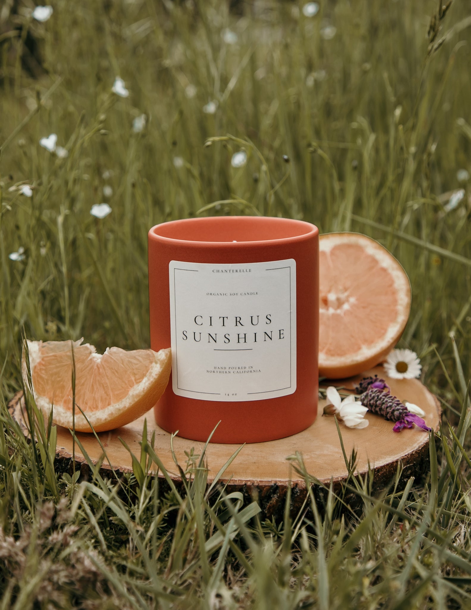 Citrus Sunshine Organic Soy Candle 14 oz