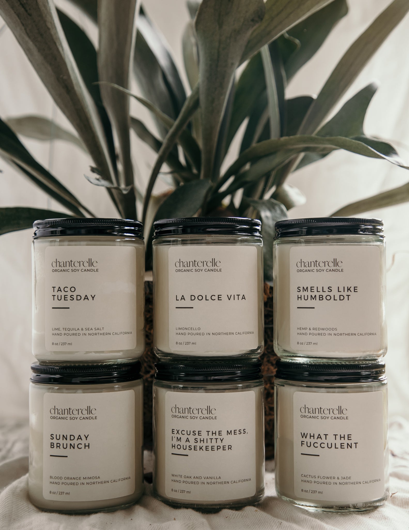 La Dolce Vita Organic Soy Candle 8 oz