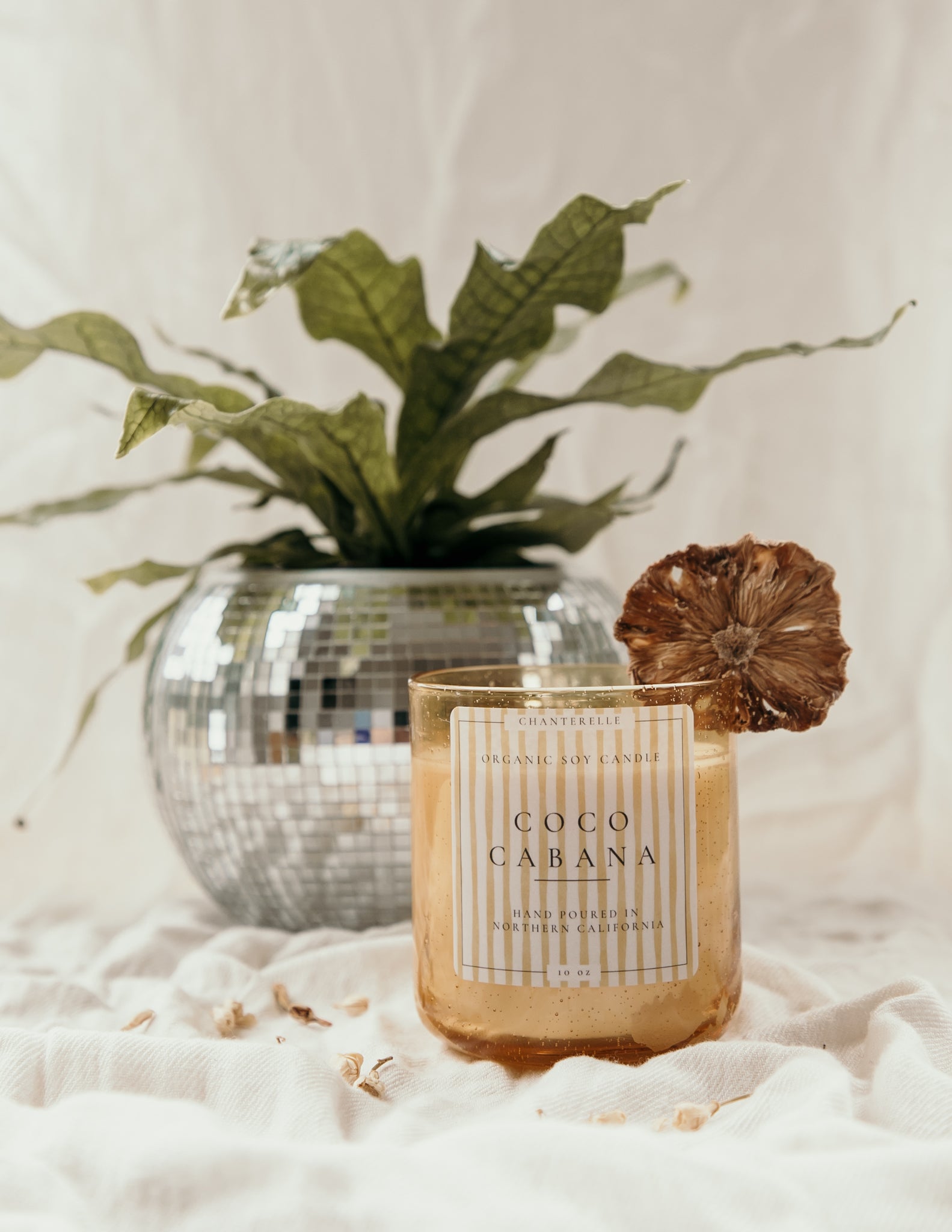 Coco Cabana Organic Soy Candle 10 oz