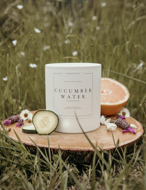 Cucumber Water Organic Soy Candle 14 oz