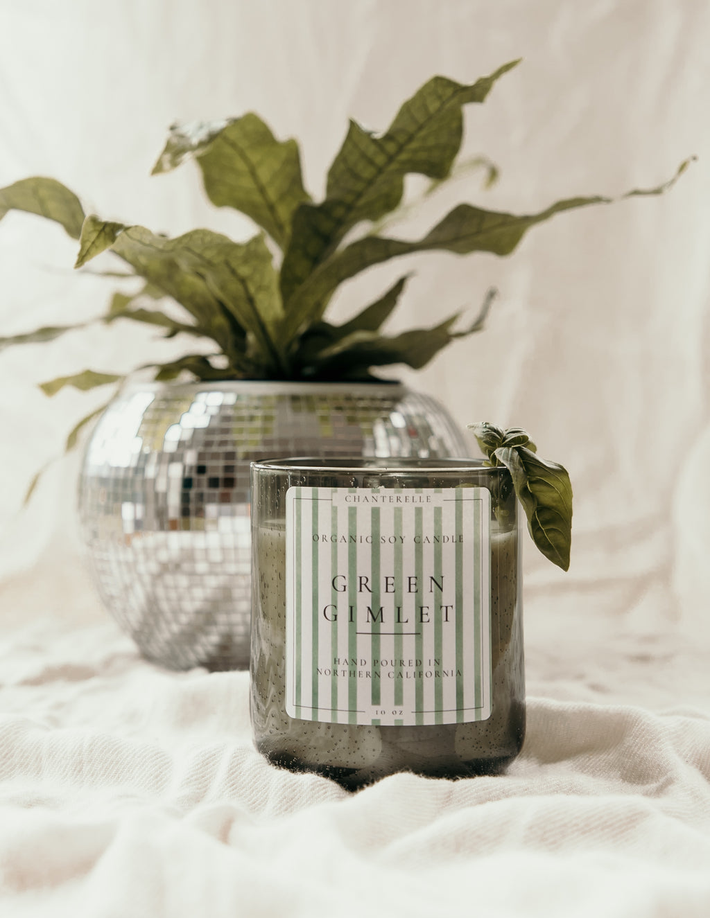 Green Gimlet Organic Soy Candle 10 oz