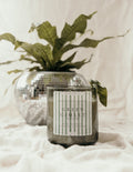 Green Gimlet Organic Soy Candle 10 oz