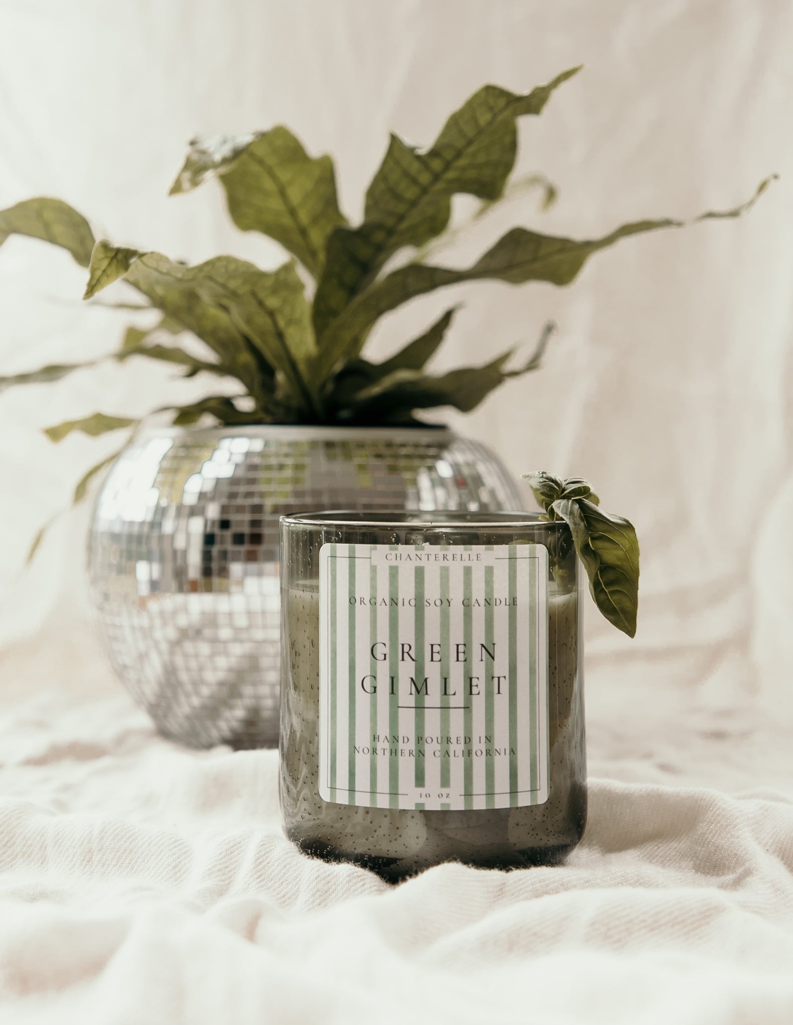 Green Gimlet Organic Soy Candle 10 oz