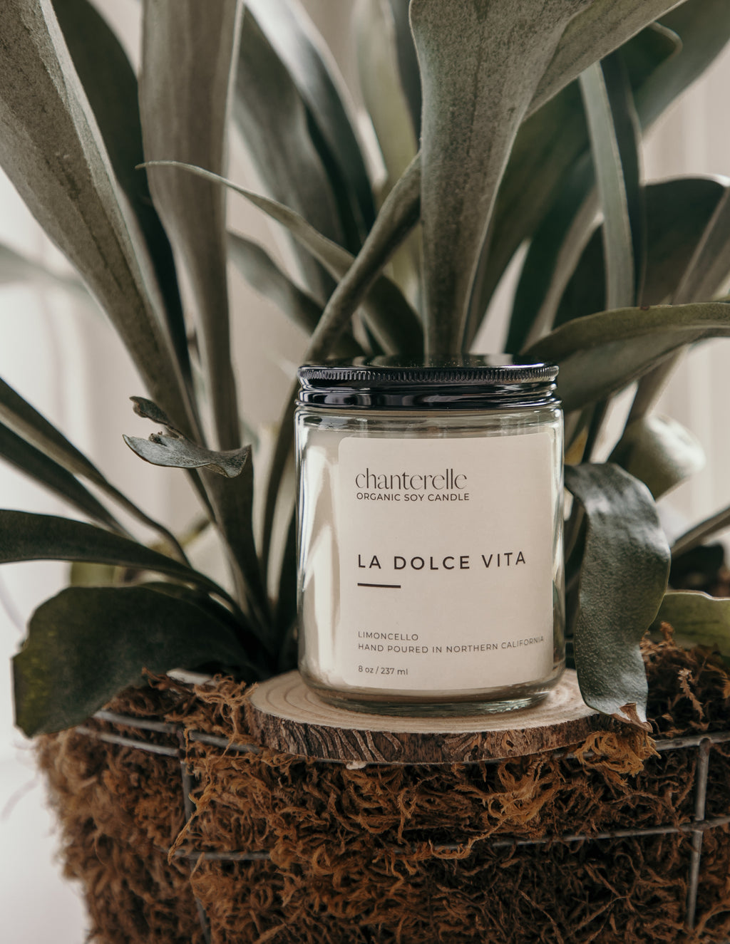 La Dolce Vita Organic Soy Candle 8 oz