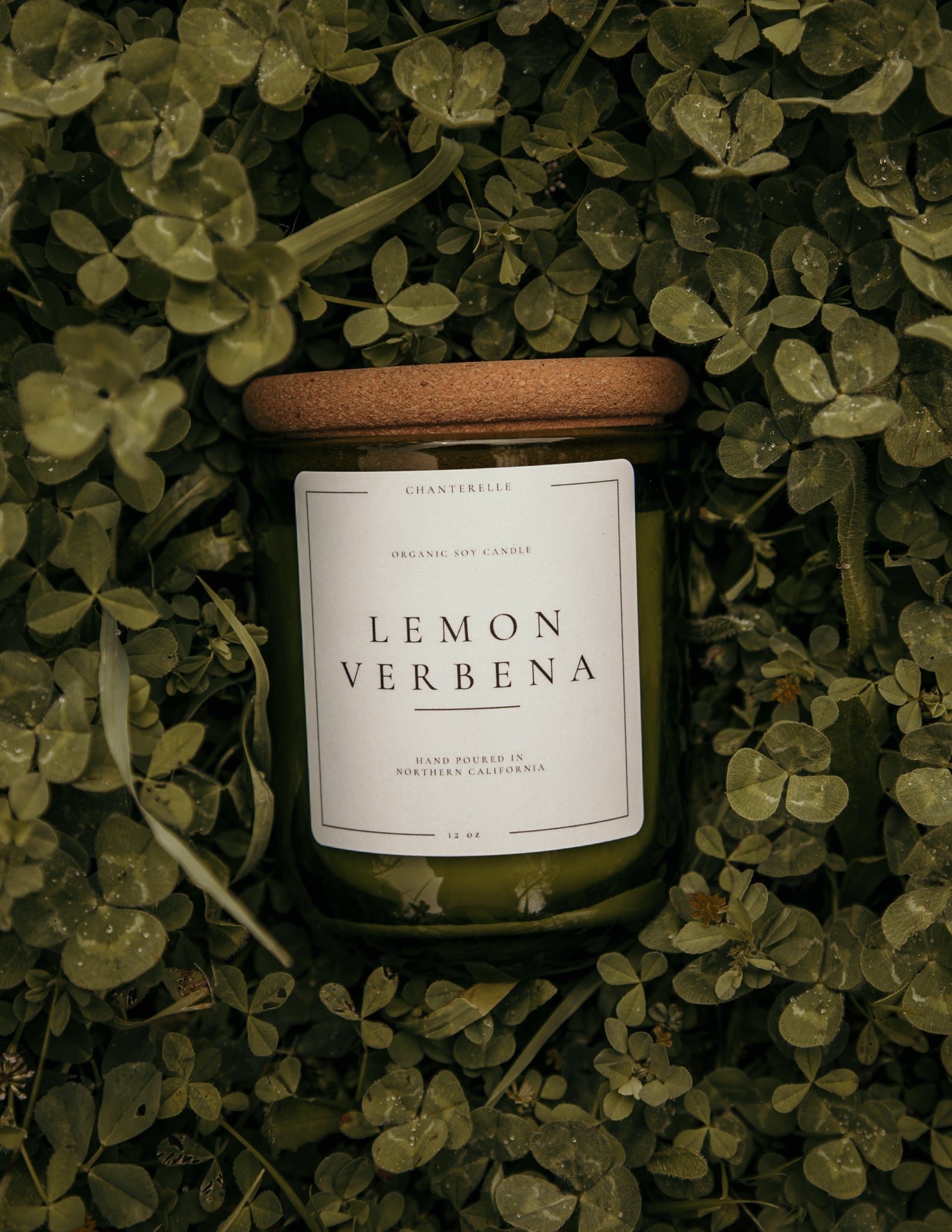 Lemon Verbena Organic Soy Candle 12 oz