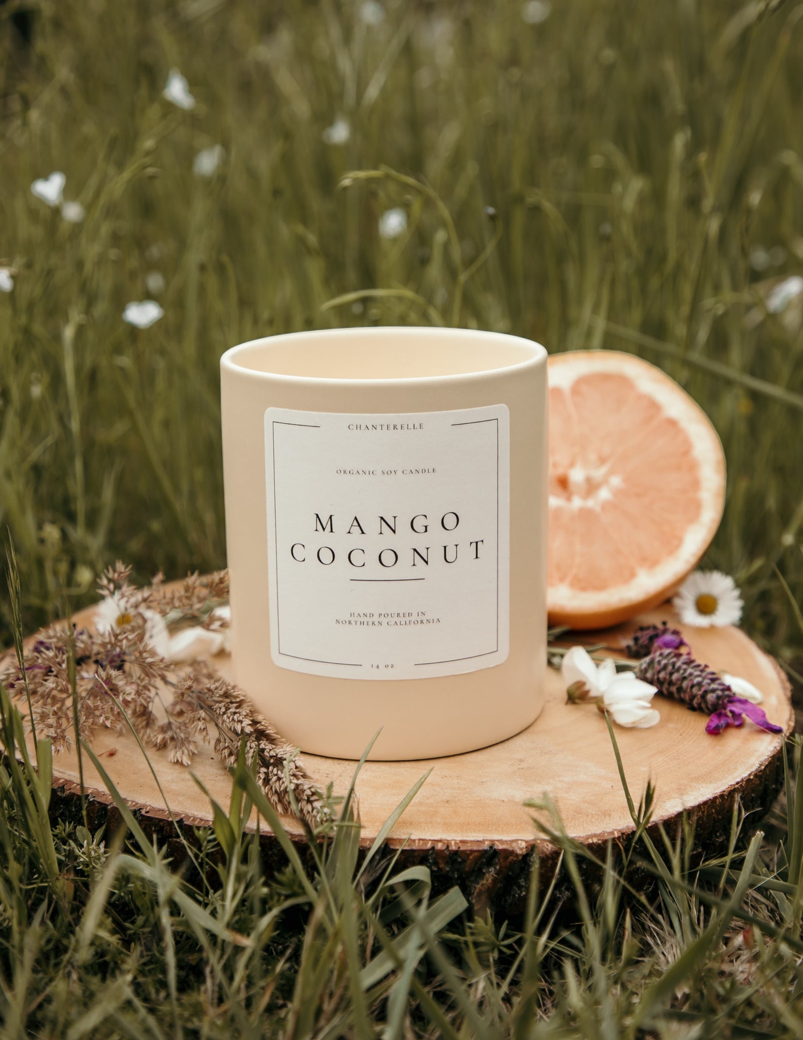 Mango Coconut Organic Soy Candle 14 oz
