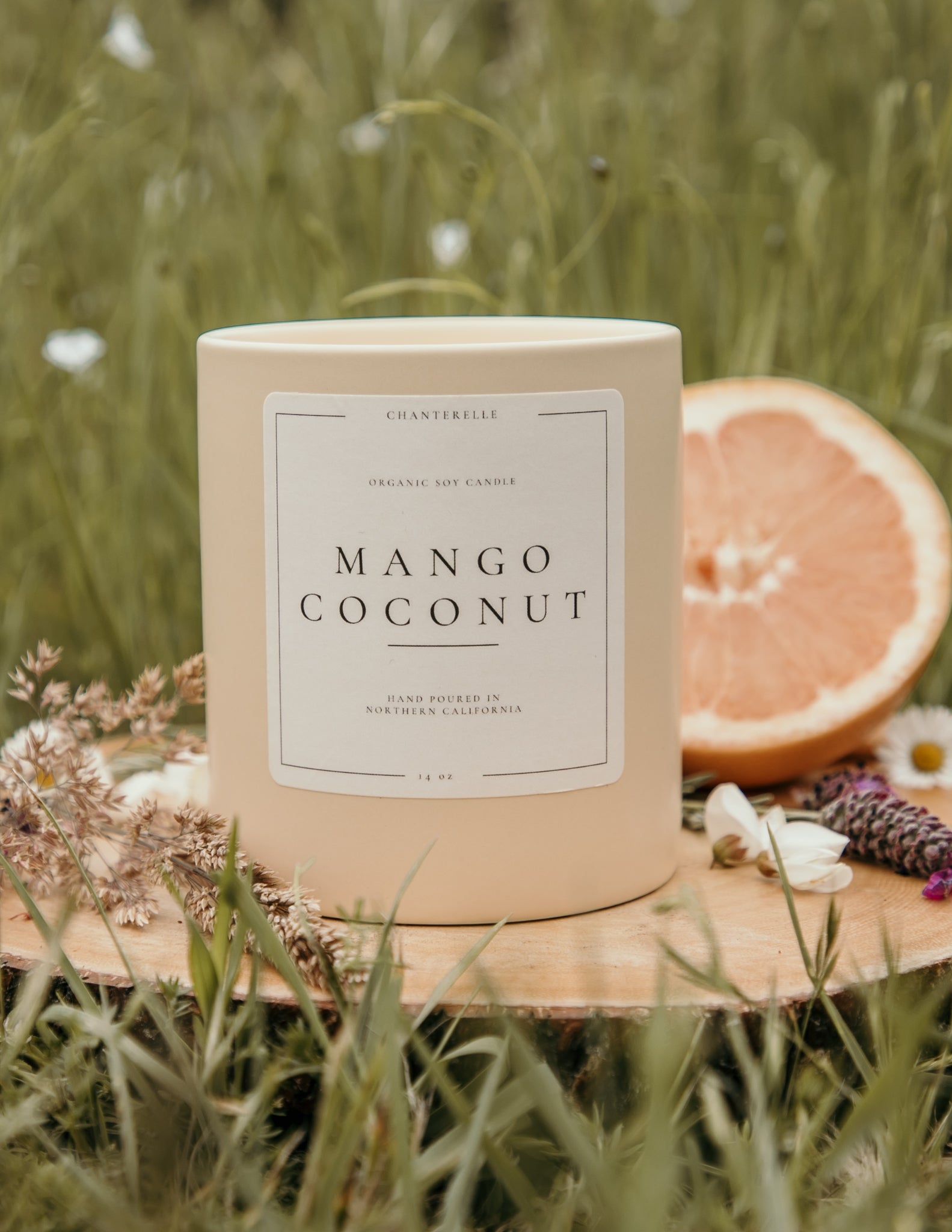 Mango Coconut Organic Soy Candle 14 oz