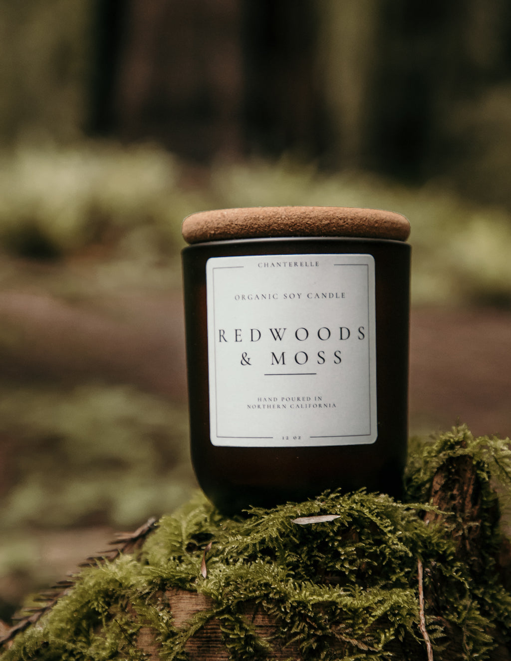 Redwoods and Moss Organic Soy Candle 12 oz