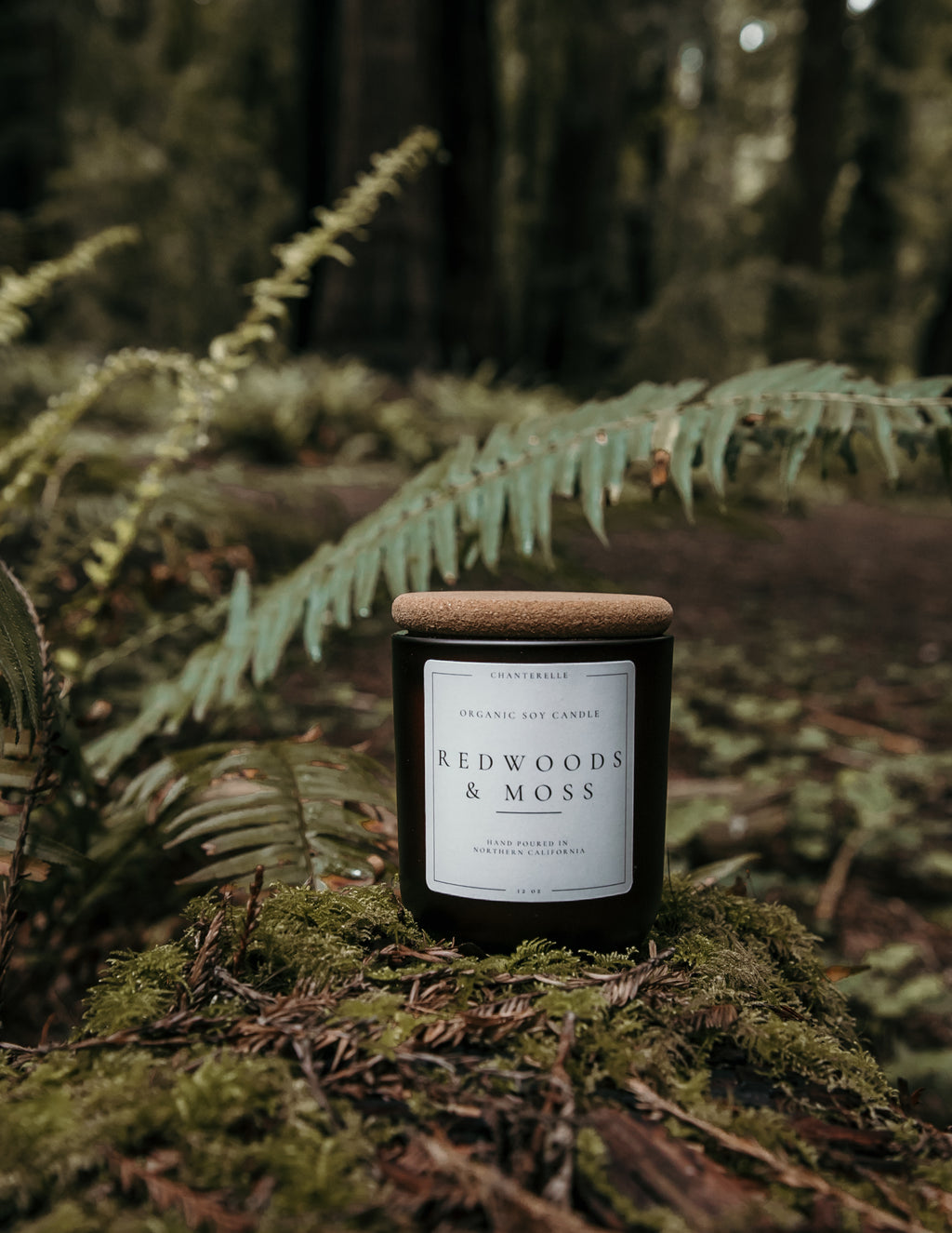 Redwoods and Moss Organic Soy Candle 12 oz
