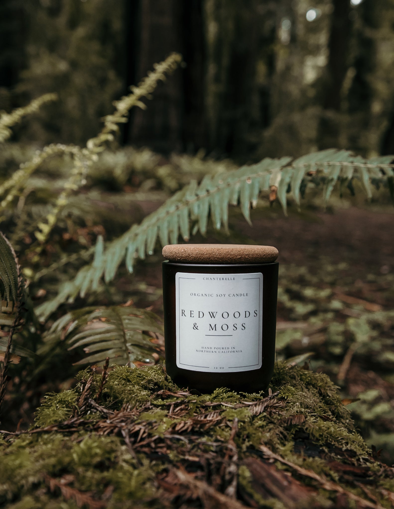Redwoods and Moss Organic Soy Candle 12 oz