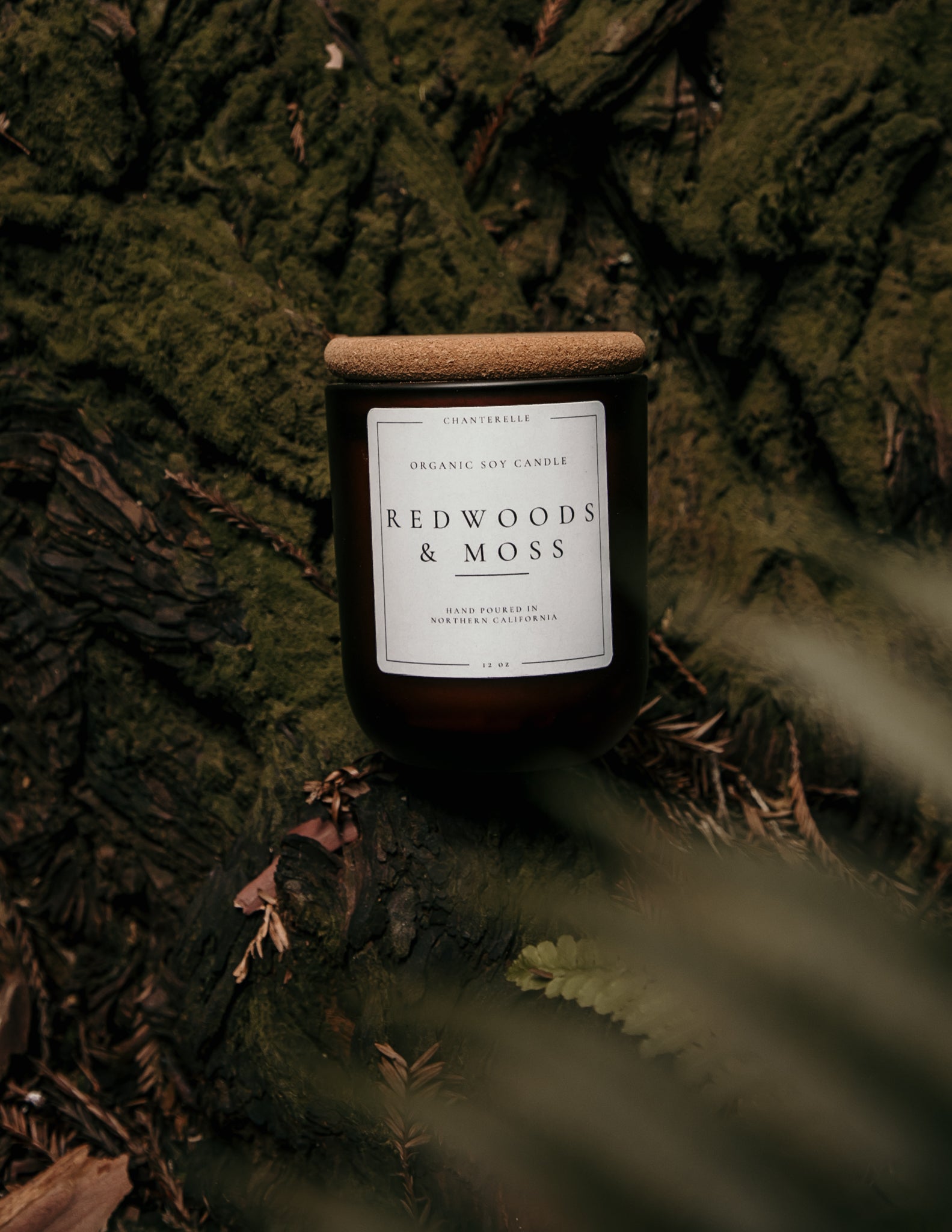 Redwoods and Moss Organic Soy Candle 12 oz