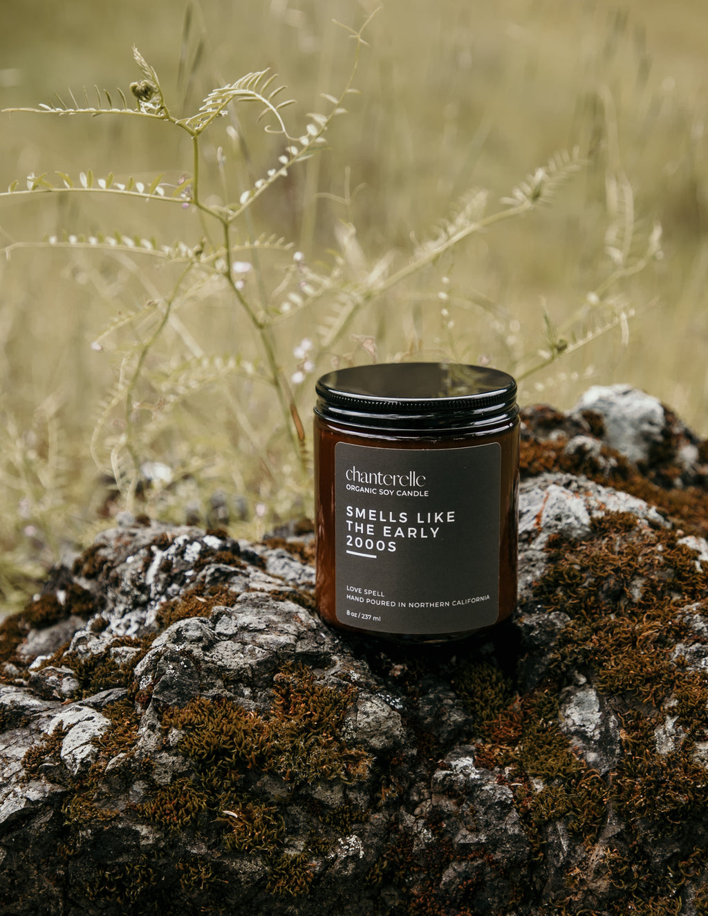 Smells Like The Early 2000s Organic Soy Candle 8 oz