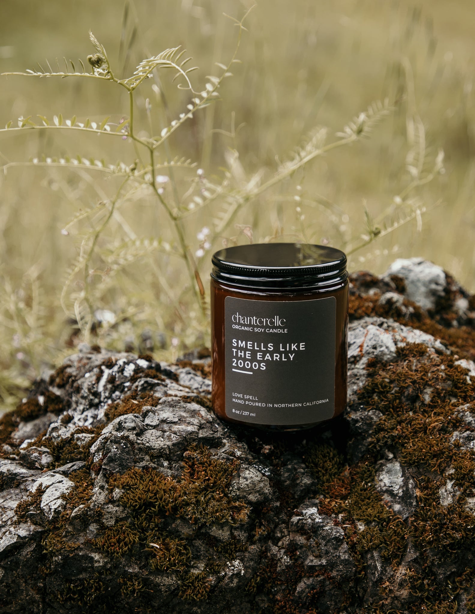 Smells Like The Early 2000s Organic Soy Candle 8 oz