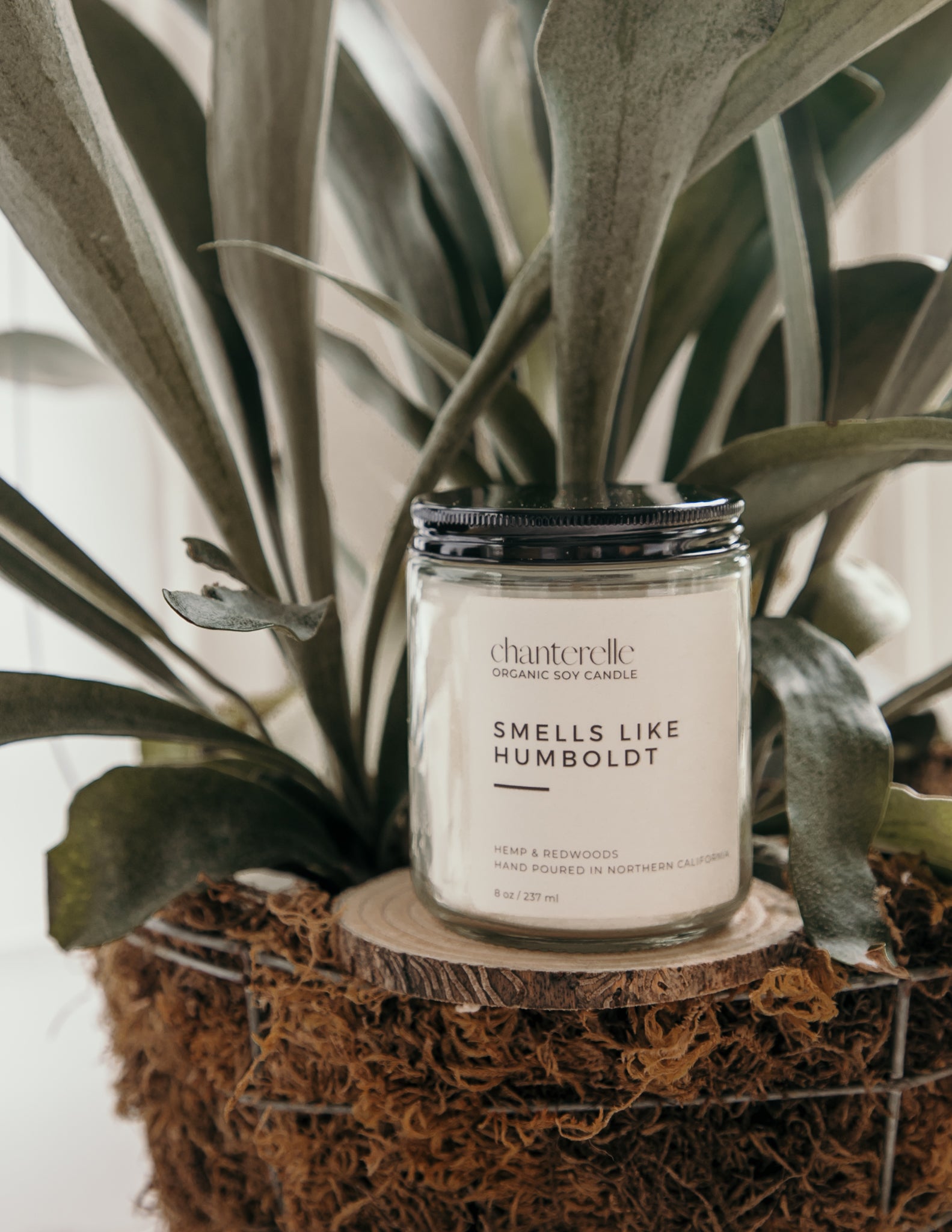 Smells Like Humboldt Organic Soy Candle 8 oz