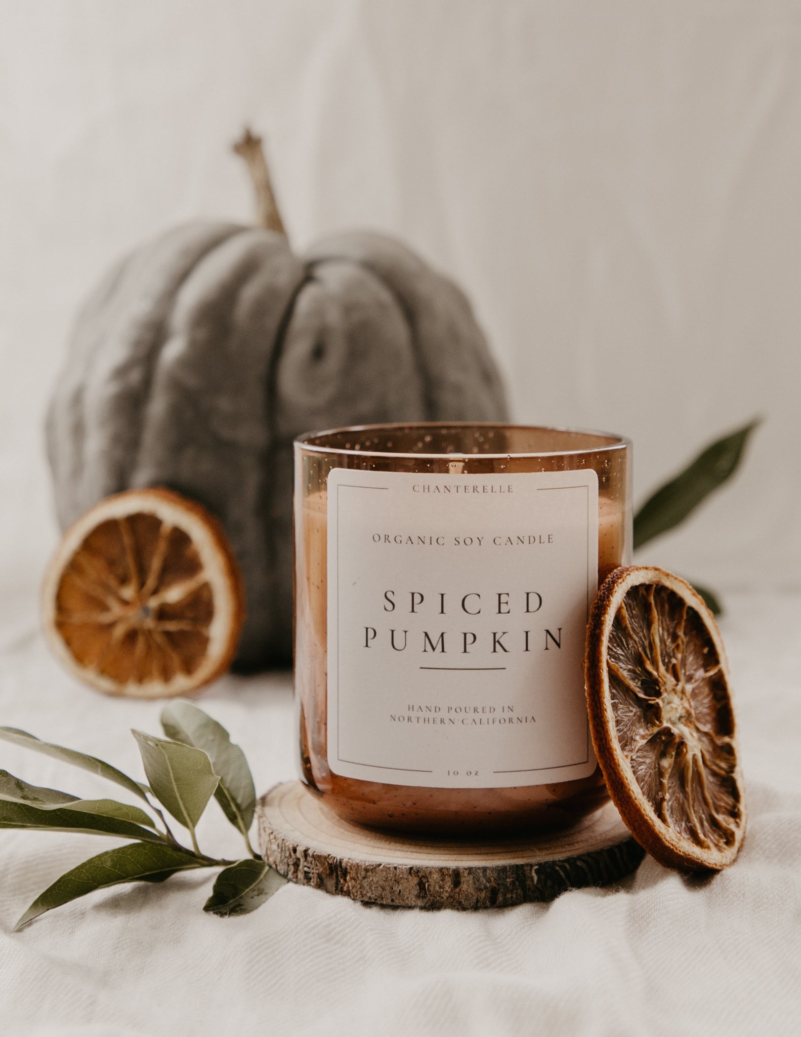 Spiced pumpkin candle with a pumpkin and dried oranges on a neutral background
