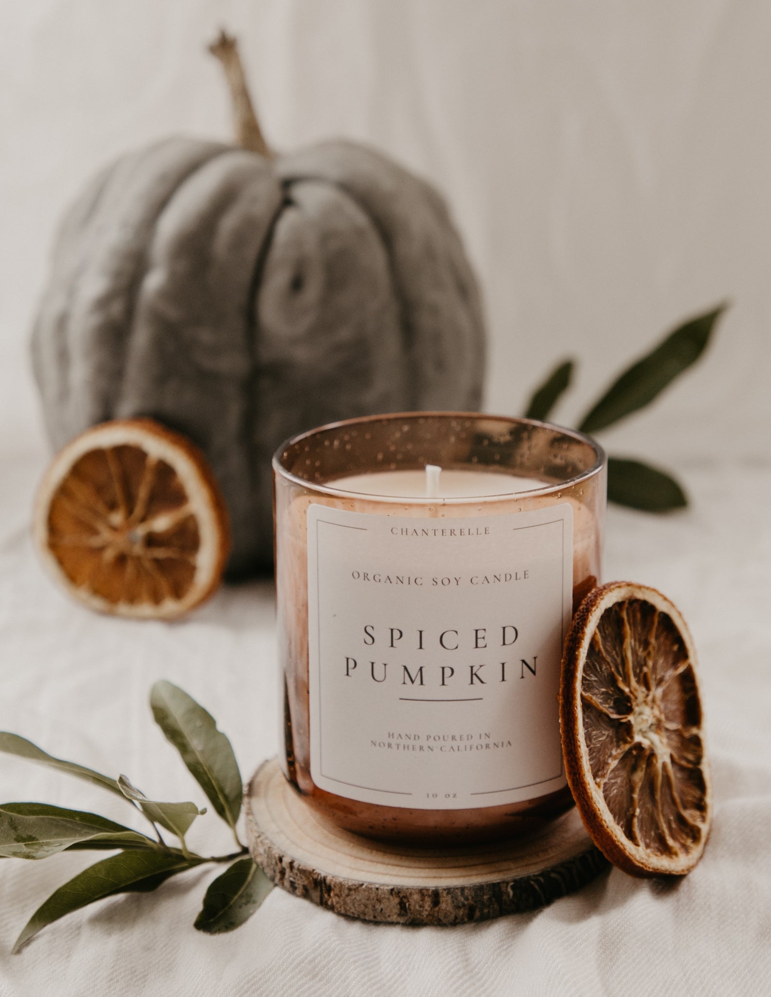 Spiced pumpkin candle with decorative elements on a neutral background