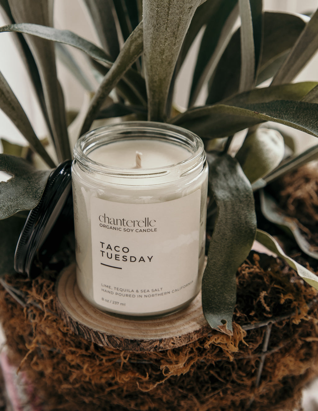 Taco Tuesday Organic Soy Candle 8 oz