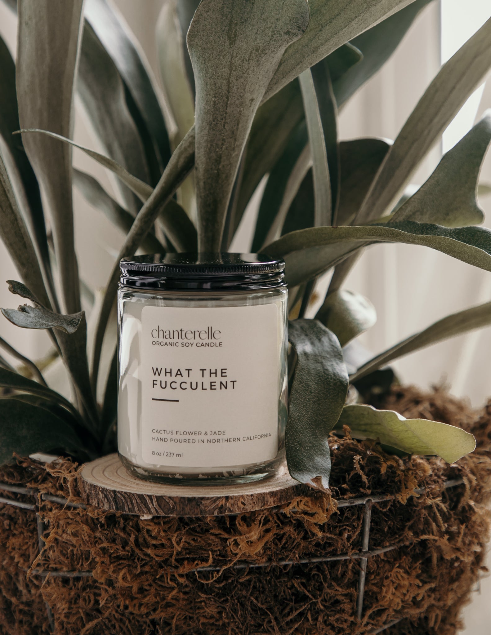 What the Fucculent Organic Soy Candle 8 oz