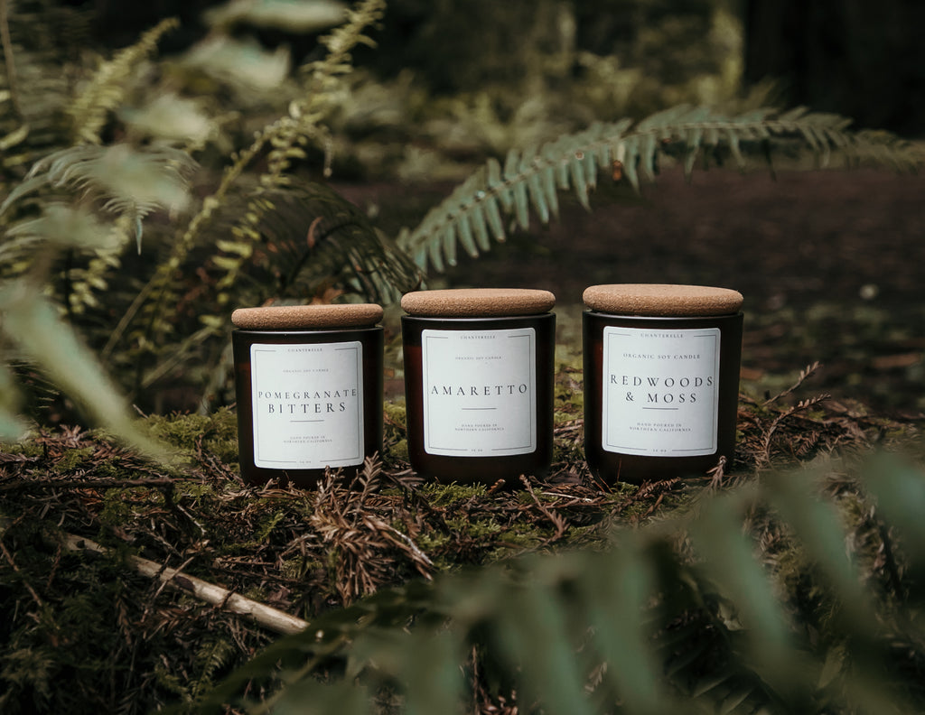 Redwoods and Moss Organic Soy Candle 12 oz